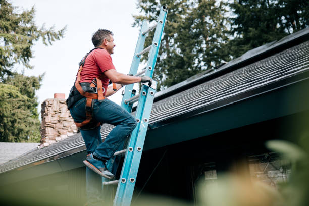 Best Sheet Metal Roofing  in Gregory, SD